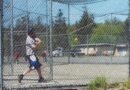 batting cage netting